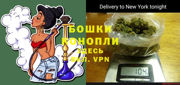 шишки Приозерск