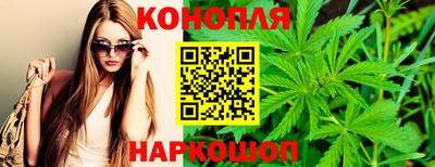 шишки Пугачёв