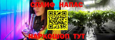 шишки Пугачёв