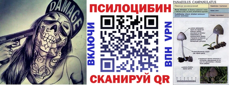 наркотики  сайты даркнета формула  Галлюциногенные грибы мухоморы  Сертолово  ссылка на мегу сайт 