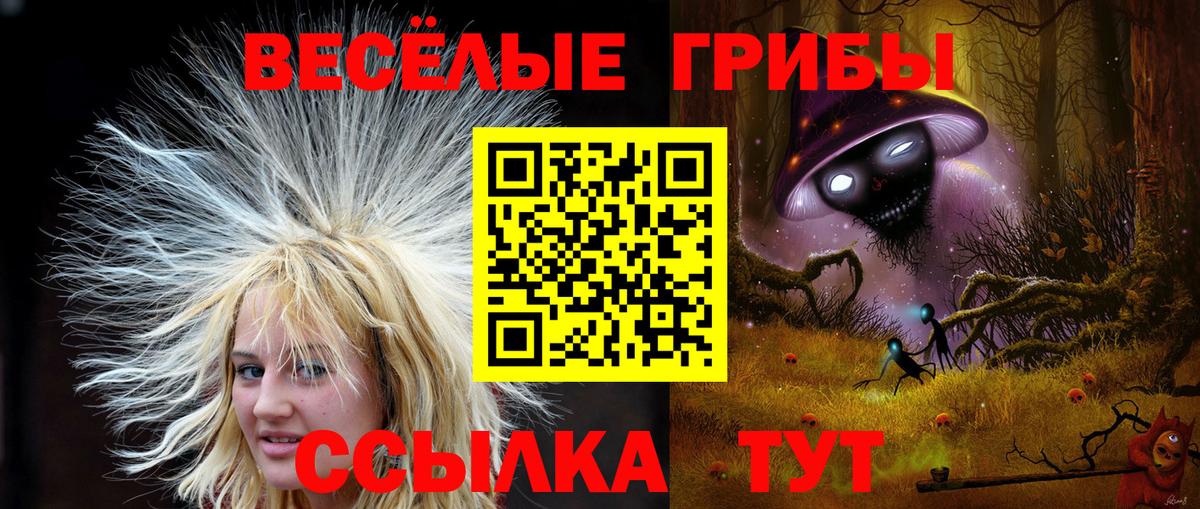 Галлюциногенные грибы мухоморы  Вход с VPN  Сертолово 